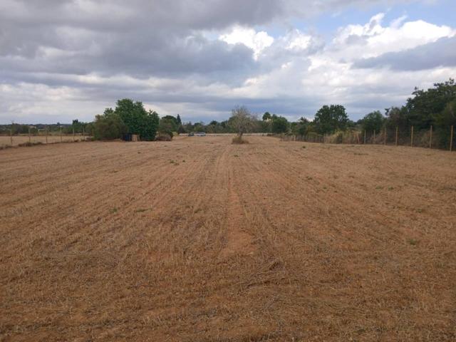Terreno agrario en venta photo 0