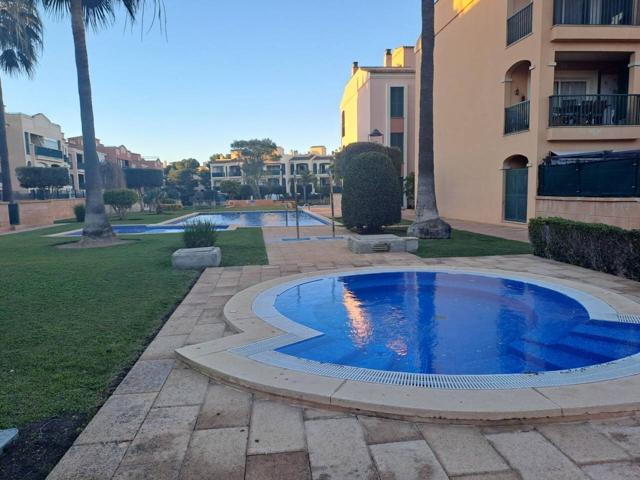 Piso en alquiler en Sa Torre photo 0