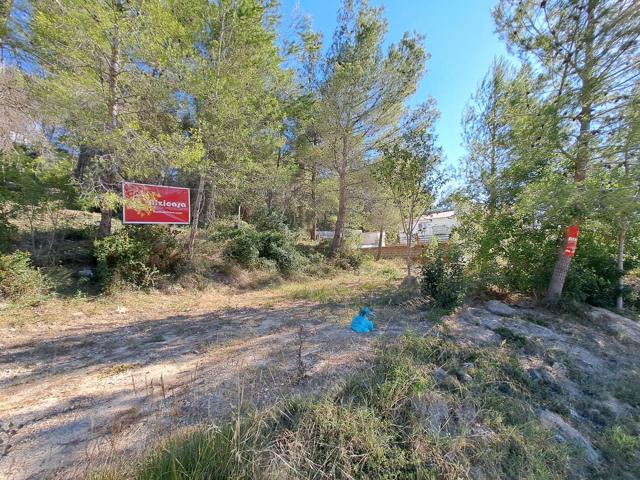 Se vende solar 1900 m2 en Urbanización San Bernat en Alzira photo 0