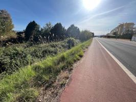 Se venden rústicos en Denia a 200 metros de la playa photo 0