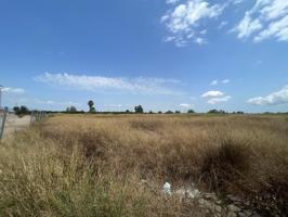 Venta de 7 Suelos Urbanos Residenciales en Benimuslem photo 0