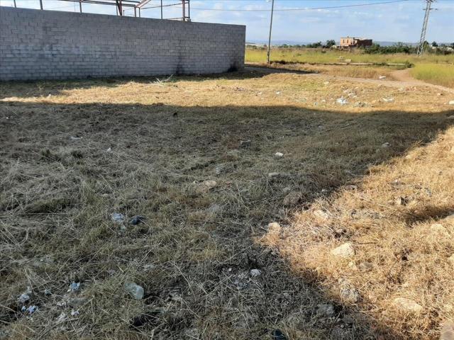 Venta de Suelo Urbano Industrial + Suelo Urbanizable Residencial en Carlet photo 0
