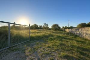 Terreno Rural en Carcaixent a la venta! photo 0