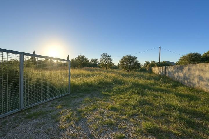 Terreno Rural en Carcaixent a la venta! photo 0