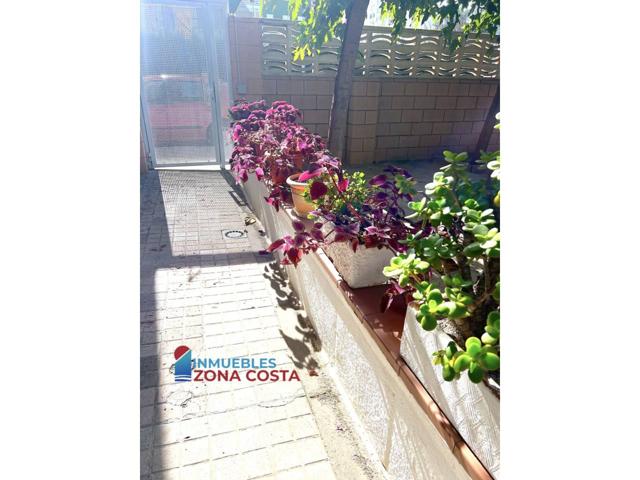 Planta baja al lado del mar con parking y piscina photo 0