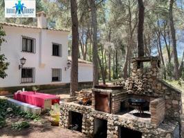 CHALET EN PINARES DEL JUCAR photo 0