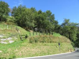 Agrícola En venta en Gipuzkoa, Asteasu photo 0