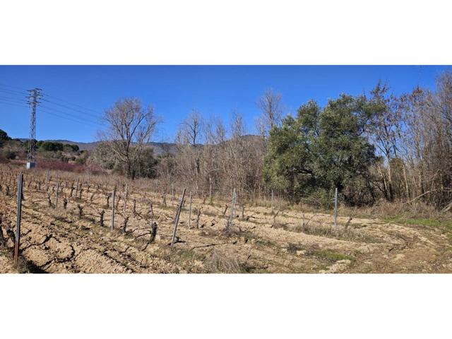 Finca Rustica en San Martin de Valdeiglesias photo 0