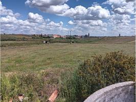 SE VENDE PARCELA RUSTICA EN CASARRUBIOS DEL MONTE photo 0