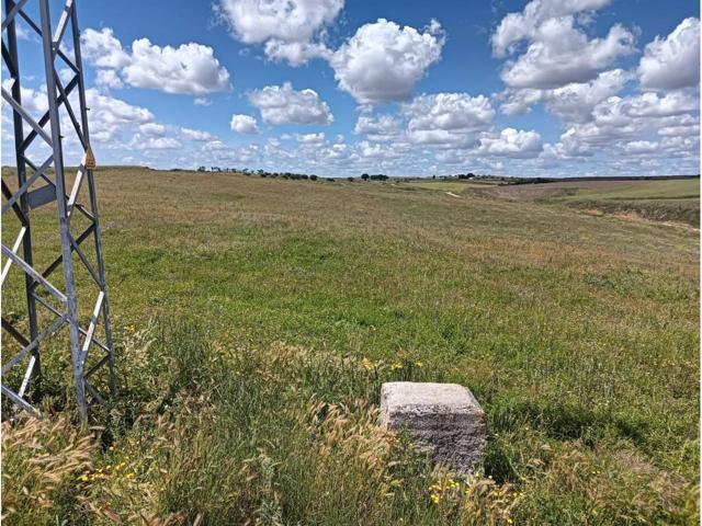 SE VENDE PARCELA RUSTICA EN CASARRUBIOS DEL MONTE photo 0