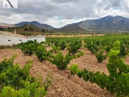 PARCELA DE 40,000 METROS EN MURCIA photo 0