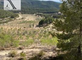 ESTUPENDA FINCA RUSTICA photo 0
