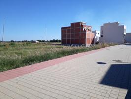 SOLAR EN CALLOSA DE SEGURA photo 0