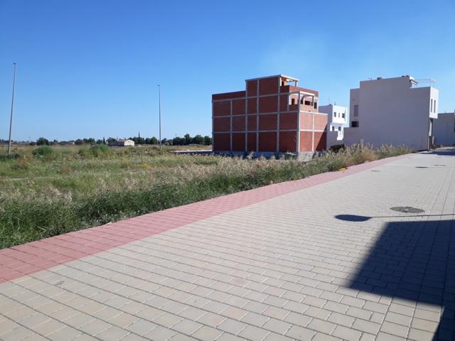 SOLAR EN CALLOSA DE SEGURA photo 0
