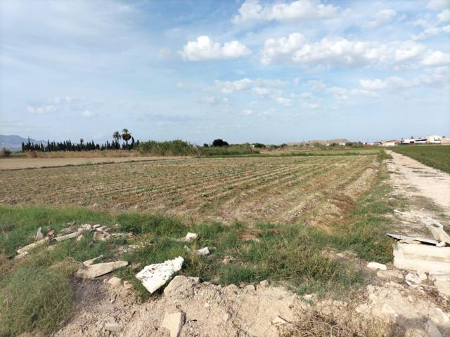 TIERRA DE CULTIVO EN COX photo 0