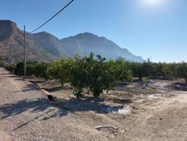 FINCA RUSTICA EN ORIHUELA photo 0