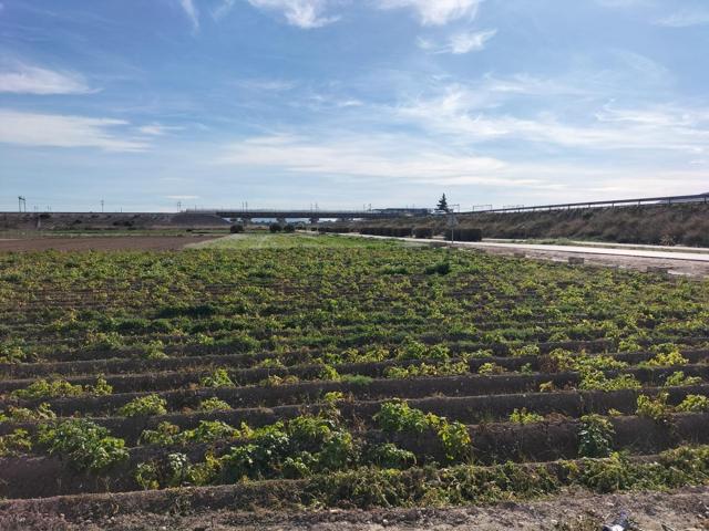 TERRENO RUSTICO EN HUERTA DE COX photo 0
