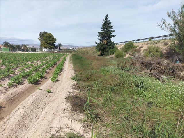 TIERRA EN HUERTA DE COX photo 0