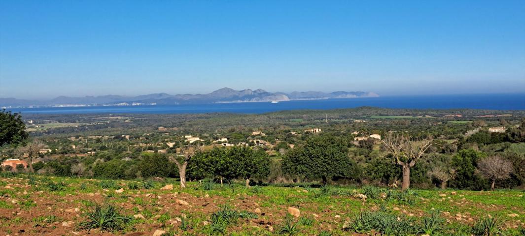 Ubicación sensacional dentro de una zona natural prácticamente virgen que ofrece vistas infinitas de la bahía de Alcudia, Formentor y la sierra de Tramontana photo 0