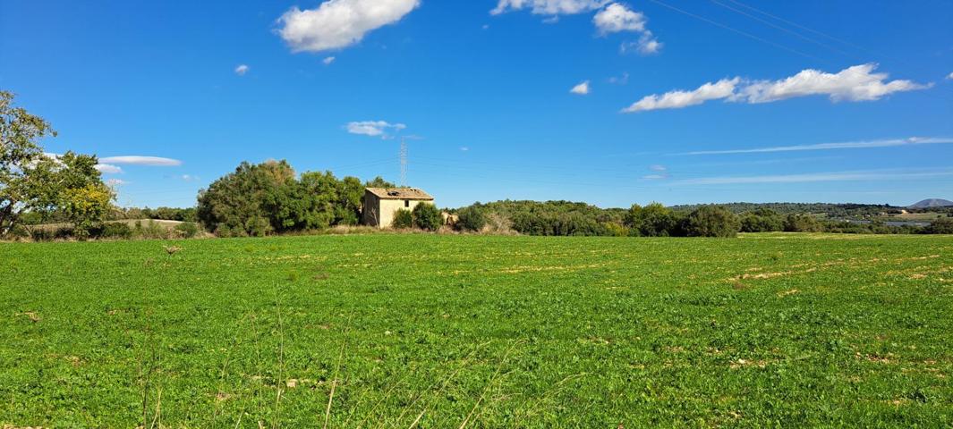 Hermoso terreno rural en Petra con aproximadamente 245.000 m2 de terreno photo 0