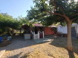 Se vende casa en terreno rustico con 3 anegadas en la Serratella. photo 0