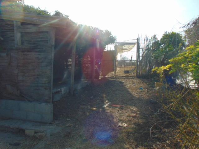 finca rustica con cortijo photo 0