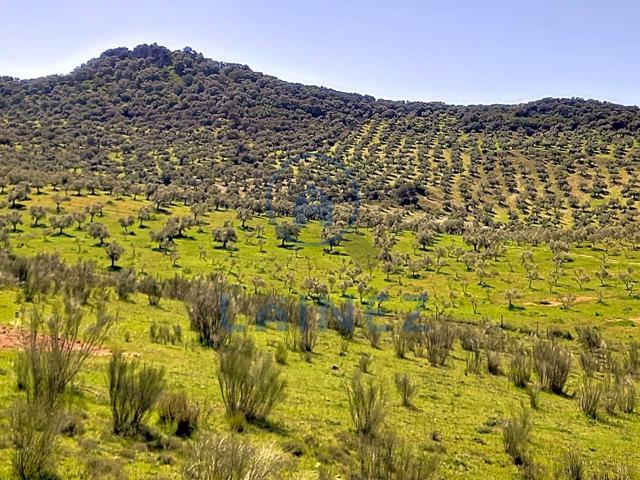Finca Rústica en venta en Belmez de 350000 m2 photo 0