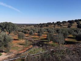 Finca Rústica en venta en Villanueva del Duque de 71000 m2 photo 0