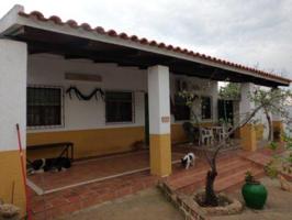 Finca Rústica en venta en Peñarroya-Pueblonuevo de 6000 m2 photo 0