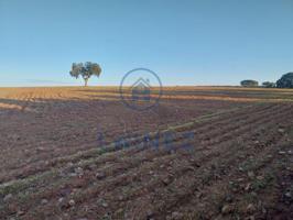 Finca Rústica en venta en Fuente Obejuna de 128900 m2 photo 0