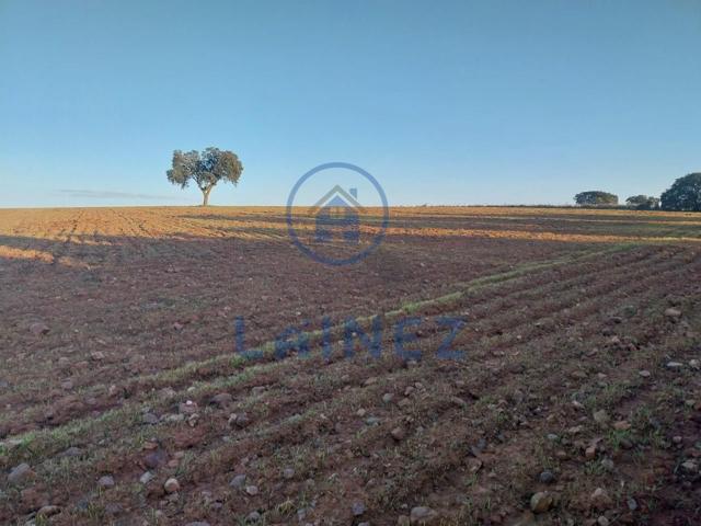 Finca Rústica en venta en Fuente Obejuna de 128900 m2 photo 0