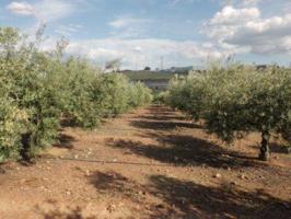 Finca Rústica en venta en Peñarroya-Pueblonuevo de 11000 m2 photo 0