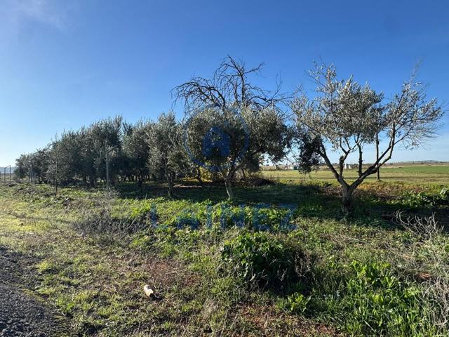 Finca Rústica en venta en La Granjuela de 1400 m2 photo 0