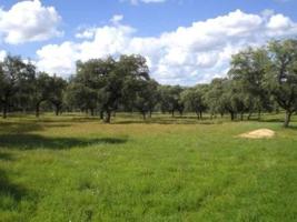 Finca Rústica en venta en Peñarroya-Pueblonuevo de 770000 m2 photo 0