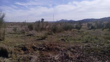 Terreno en venta en Belmez de 2640 m2 photo 0