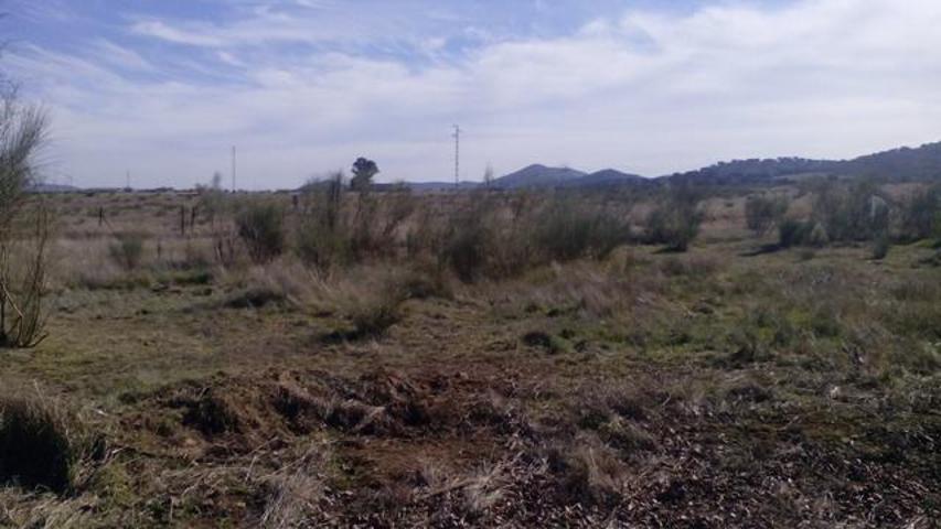 Terreno en venta en Belmez de 2640 m2 photo 0