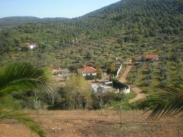 Finca Rústica en venta en Villanueva del Rey de 30000 m2 photo 0