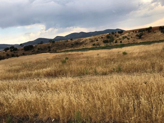 Finca Rústica en venta en Peñarroya-Pueblonuevo de 7000 m2 photo 0