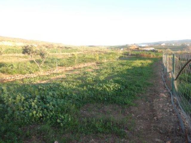 Terreno en venta en Peñarroya-Pueblonuevo de 3000 m2 photo 0