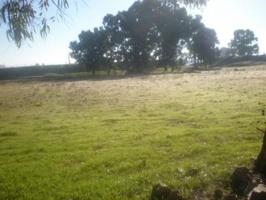 Terreno en venta en Peñarroya-Pueblonuevo de 20000 m2 photo 0