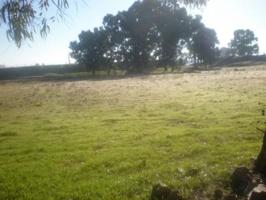 Terreno en venta en Peñarroya-Pueblonuevo de 20000 m2 photo 0