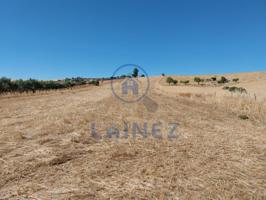 Finca Rústica en venta en Fuente Obejuna de 14000 m2 photo 0