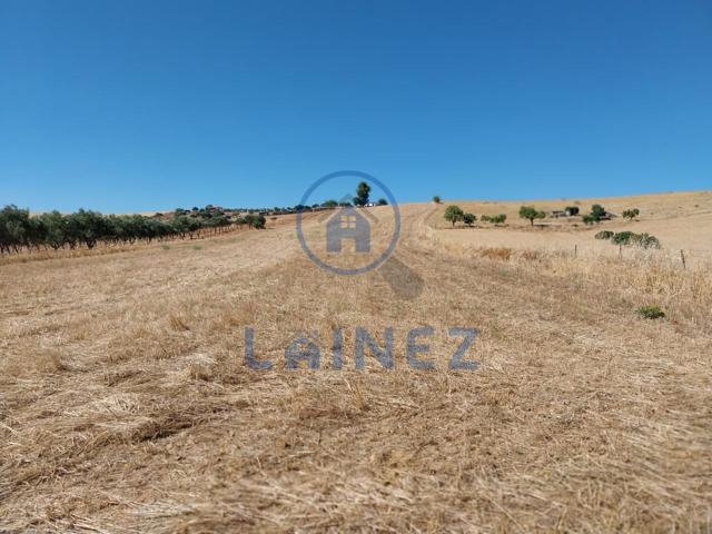 Finca Rústica en venta en Fuente Obejuna de 14000 m2 photo 0