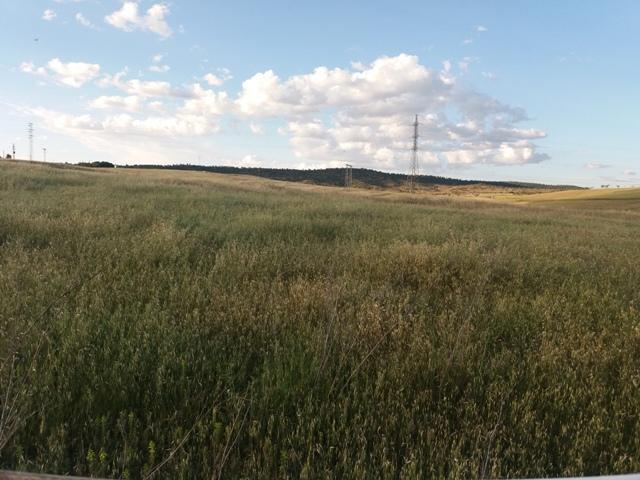 Finca Rústica en venta en Belmez de 30111 m2 photo 0