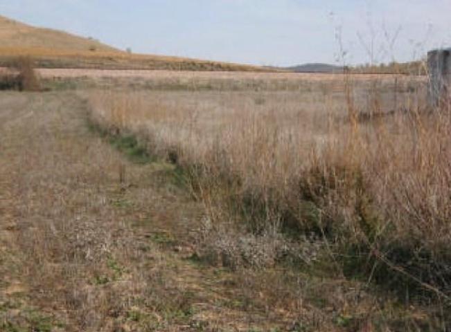 Finca Rústica en venta en Belmez de 15828 m2 photo 0
