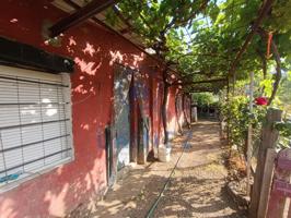 Parcela de olivos en venta en Villanueva del Rey photo 0