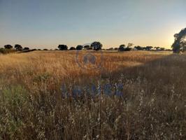 Finca Rústica en venta en Valsequillo de 16284 m2 photo 0