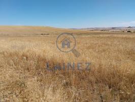 Finca Rústica en venta en Fuente Obejuna de 5600 m2 photo 0