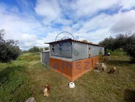 Finca Rústica en venta en Hinojosa del Duque de 5000 m2 photo 0