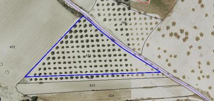 Terreno con olivas de 9307 m2 en Torrejón de Velasco photo 0